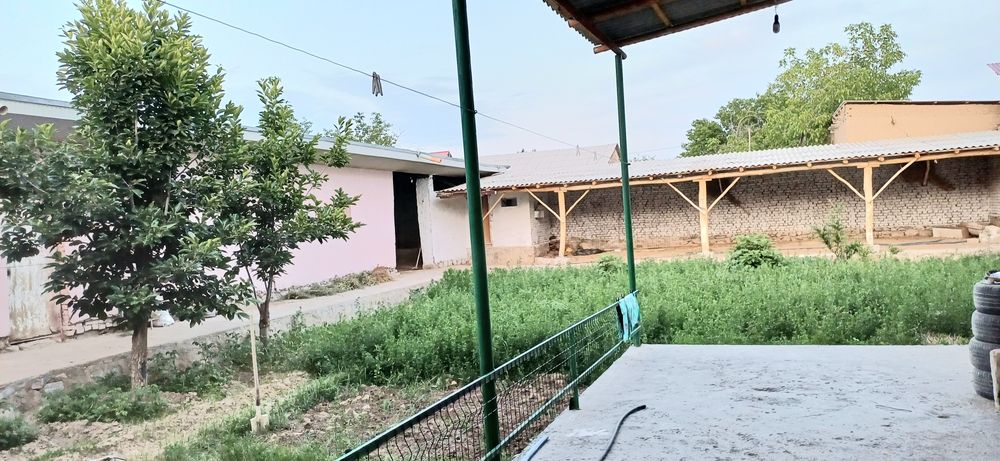 Срочно Ески 5да 8 сотихли замонавий кулайликларга ега ховли сотилади