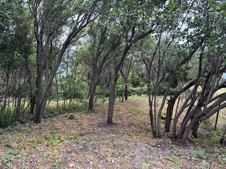 Земельный участок