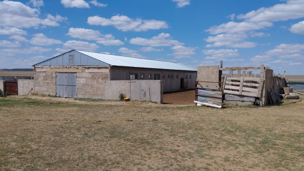 продам крестьянское хозяйство