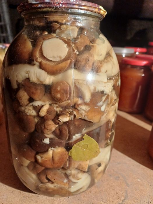 Продам грибы маринованные.