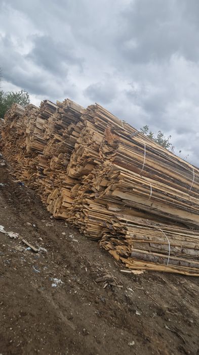 Deșeuti de brad ,fag