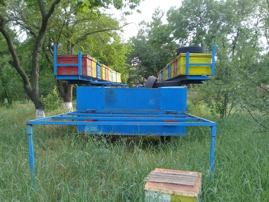 Продается на колесах Пасека