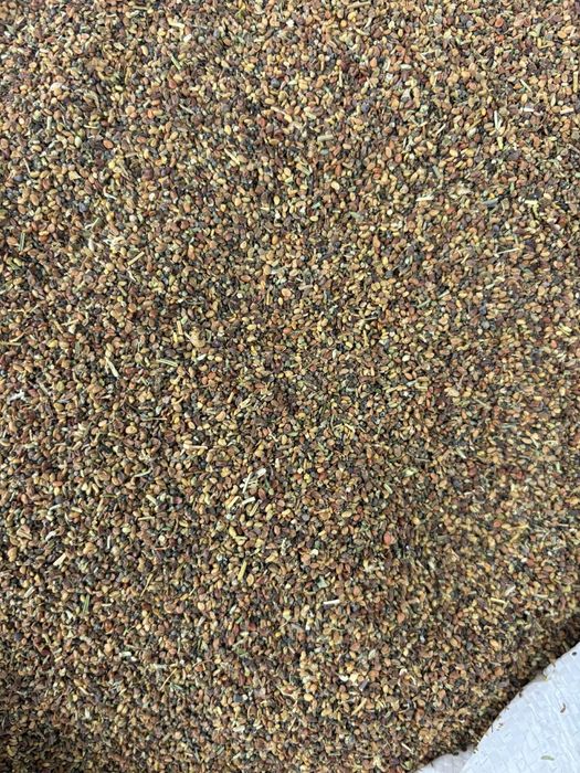 Vând sămânță de lucernă calitate a 2