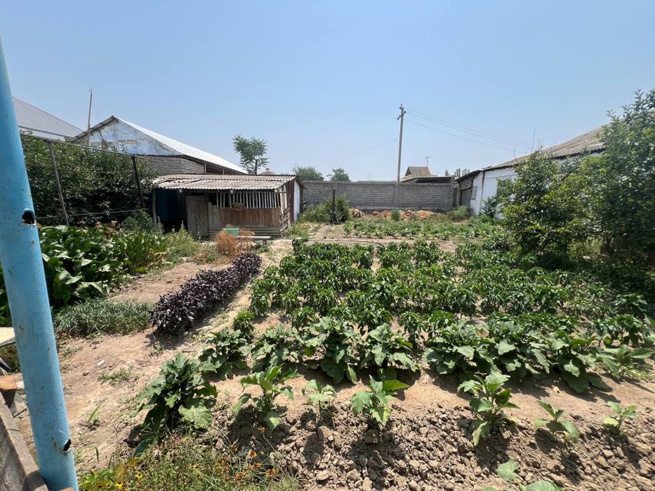 Продается дом в  центре города Сырдарья