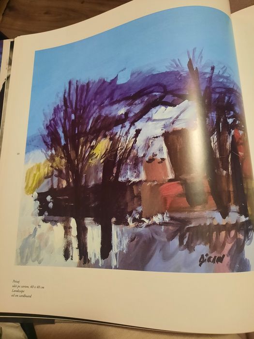 Album de artă - Gheorghe Dican (Ediție de colecție)

De ce