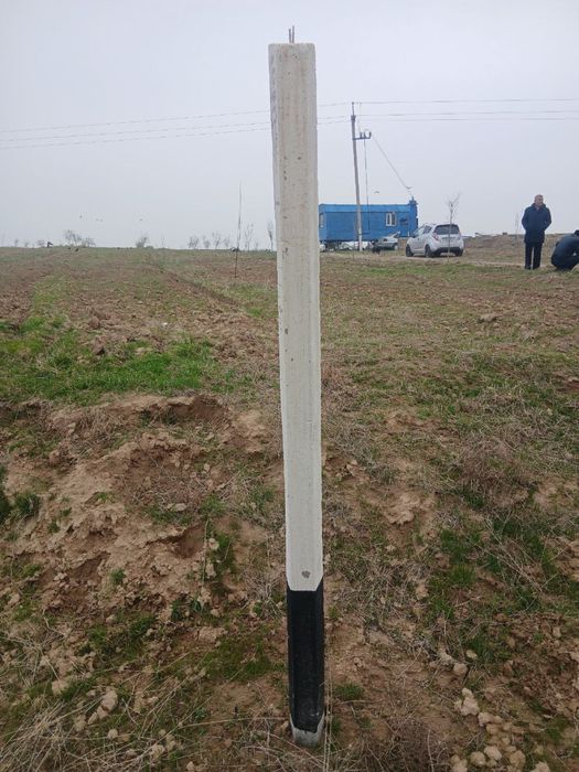 Шпалер , порсинка . бетон стойка