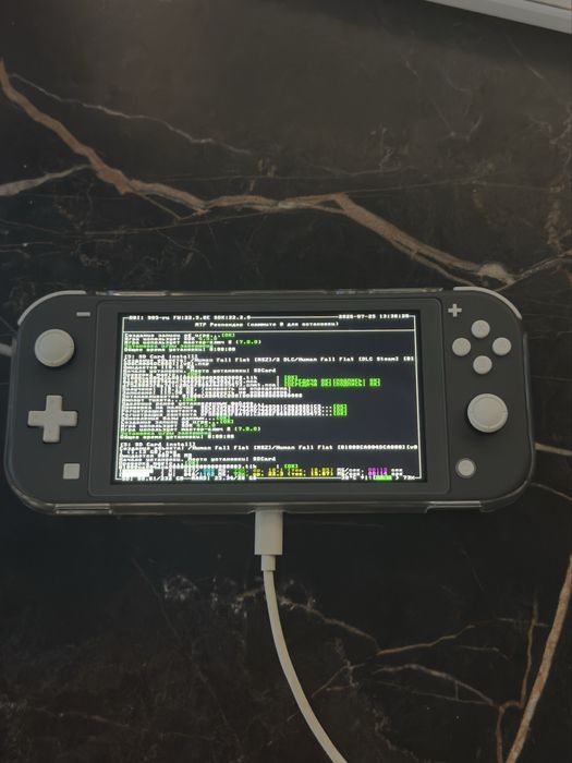 Прошитый Nintendo Switch LITE 256гб Picofly