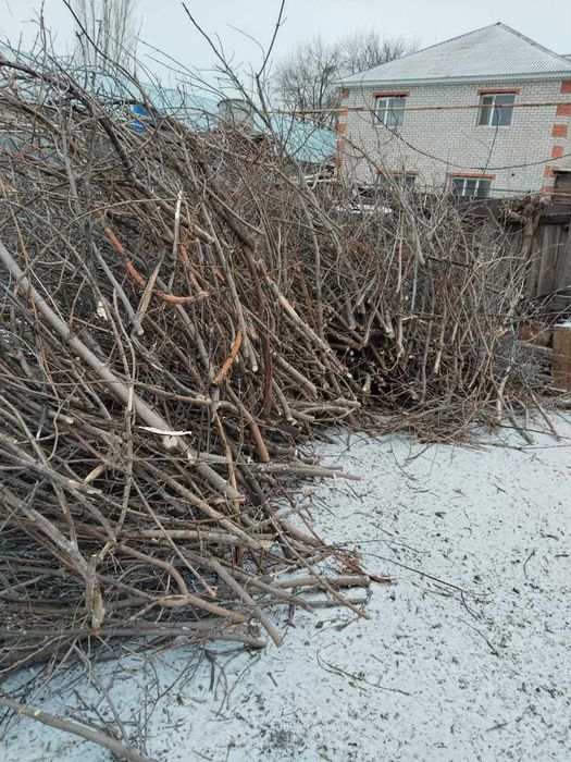 Спил санитарная обрезка  аварийных деревьев