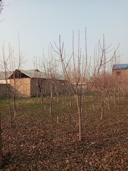 Продается участок 12 сотых