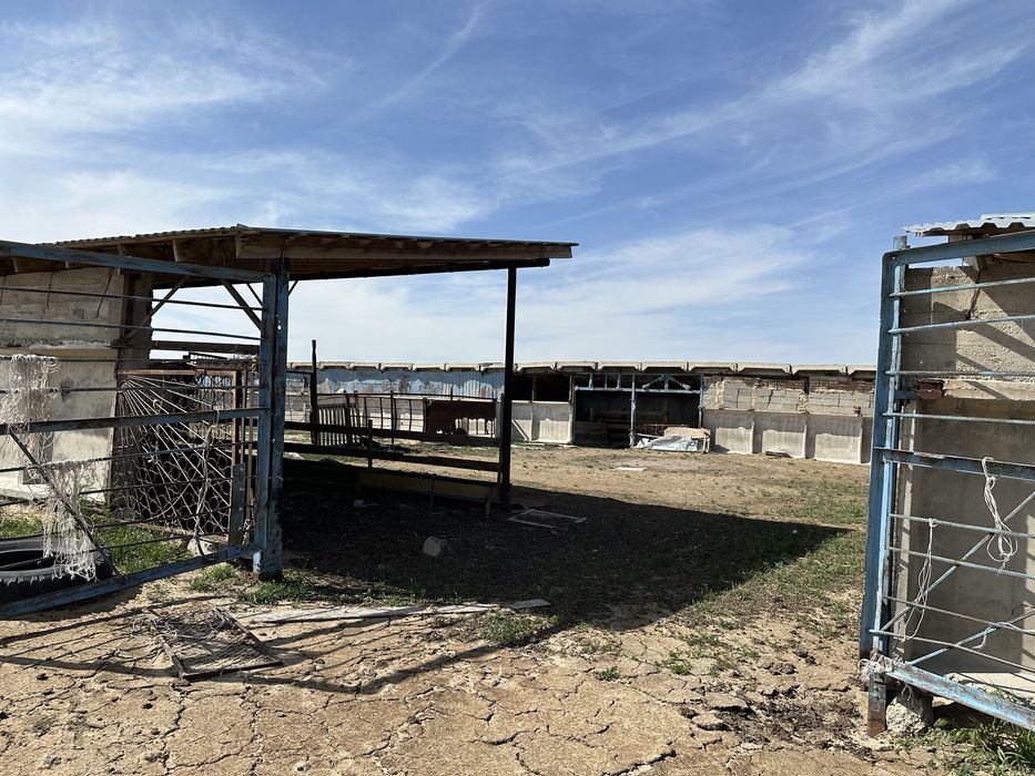 Продаётся фазенда