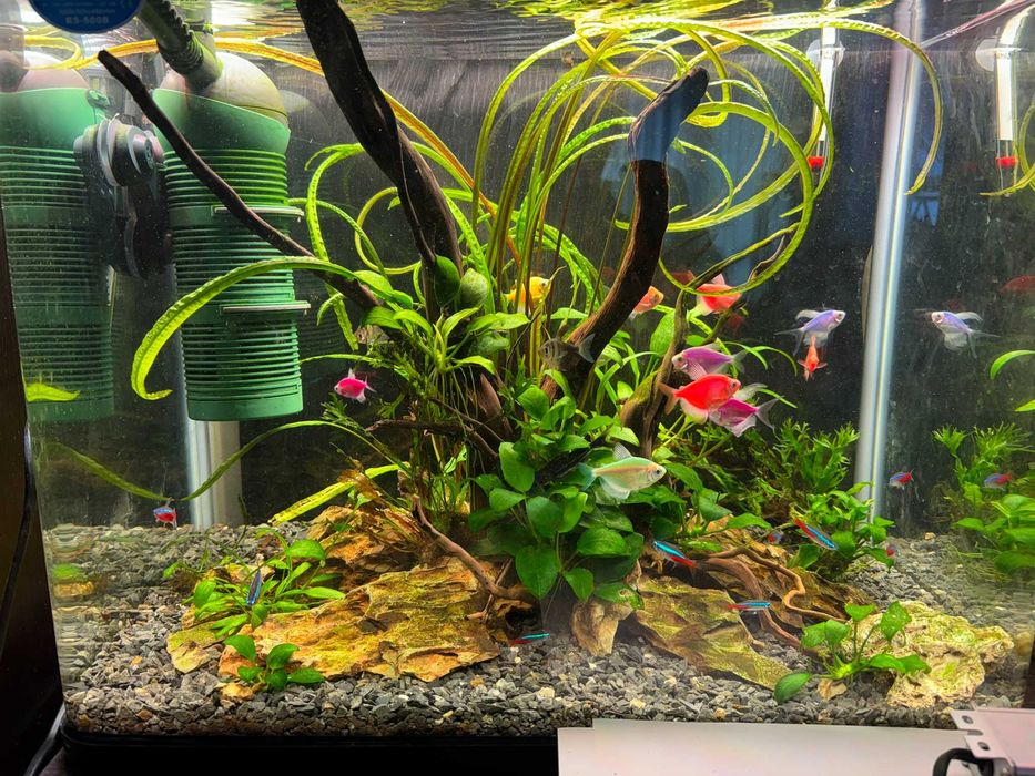 Пълен спектър LED фито лампа 2х56,5 см аквариум и разсад