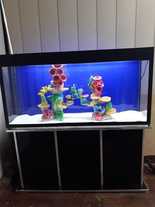 АКВА СЕРВИС Изготовление и ремонт аквариума обслуживание и другие усл