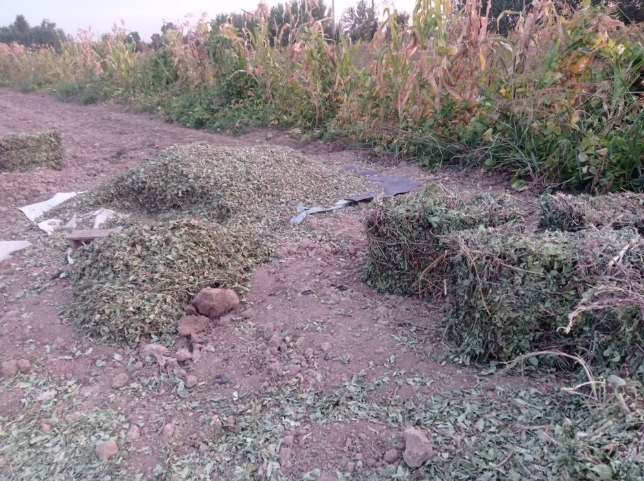 Yeryong'oq presi sotiladi kelishamiz