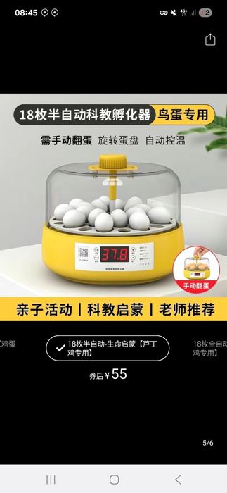 Mini Inkubator sotuvda  xitoy texnika