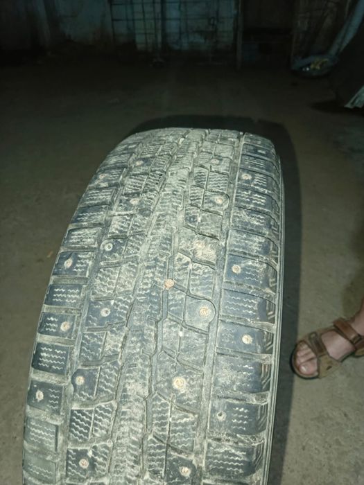 Продам комплект шин