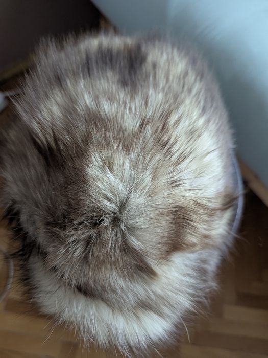 Căciulă blană naturală