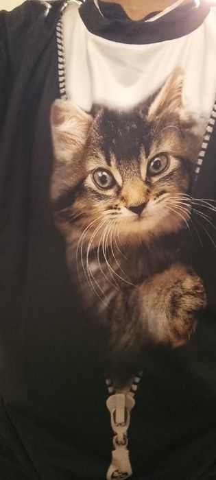 Толстовки молодежные.