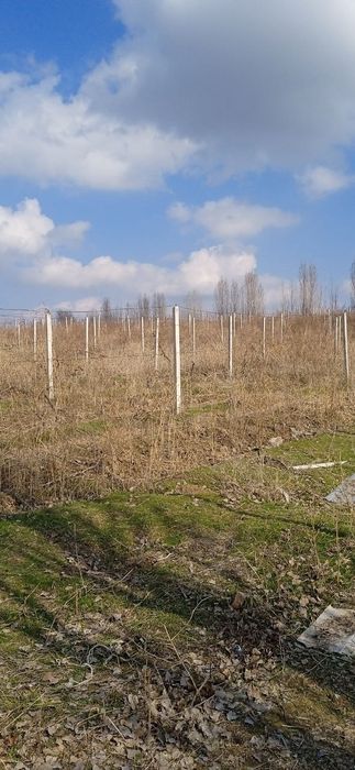 Шпалер сотилади.