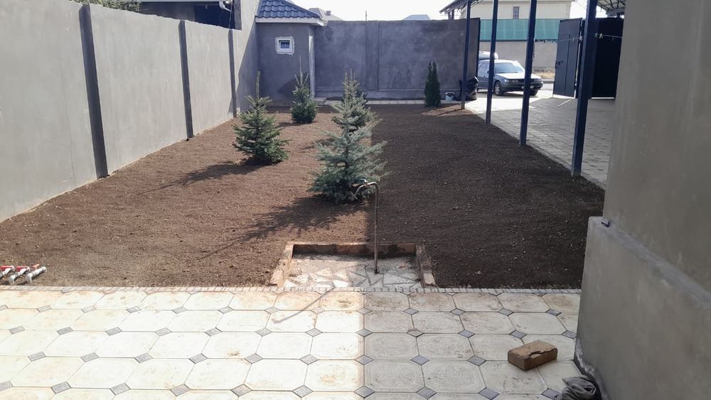 Посадка газона с поливом