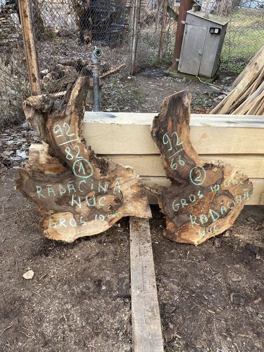 Rondele NUC,cireș,fag,stejar