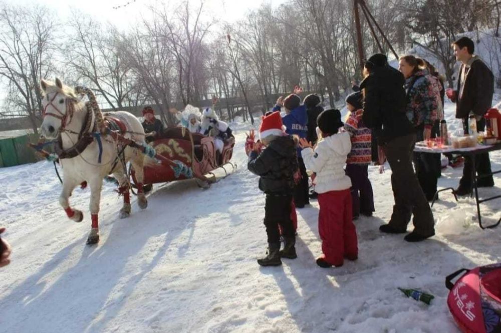 Сани, волокуши под упряжку