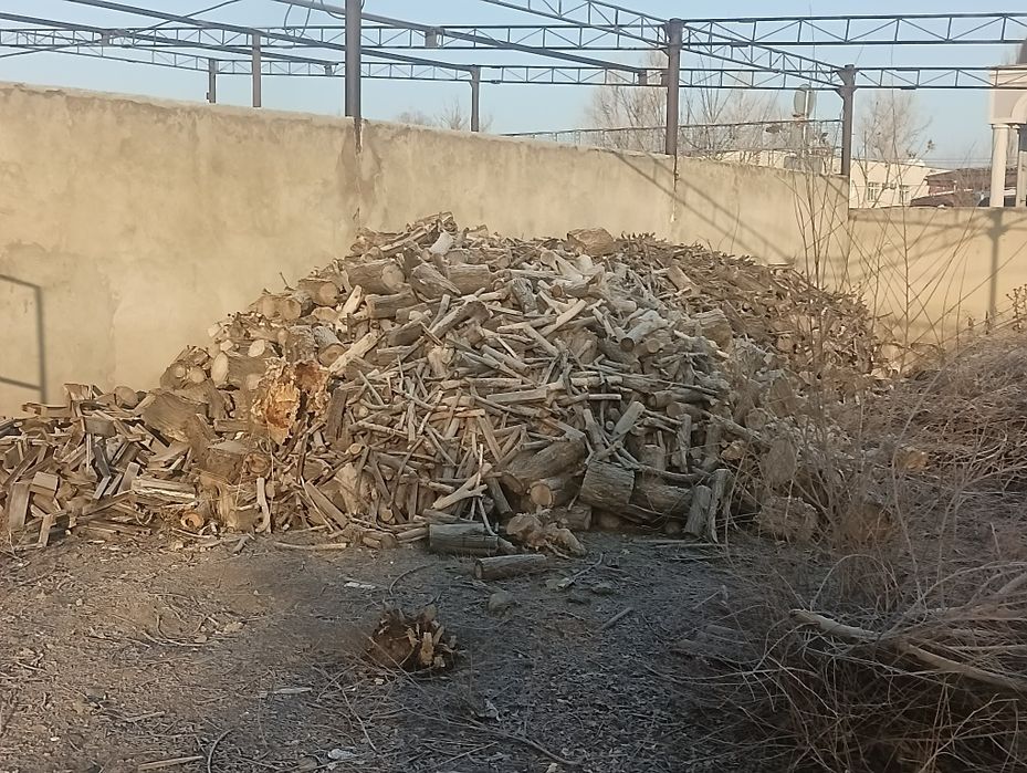 Дрова преимущественно карагач.95%.