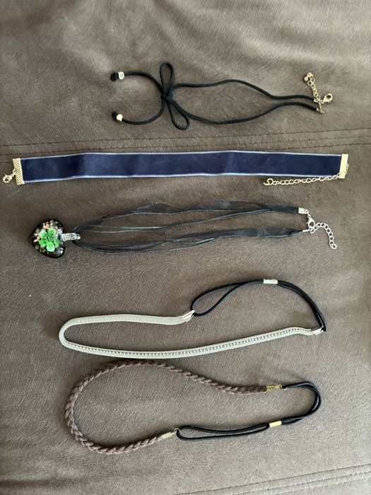 Accesorii gat si par