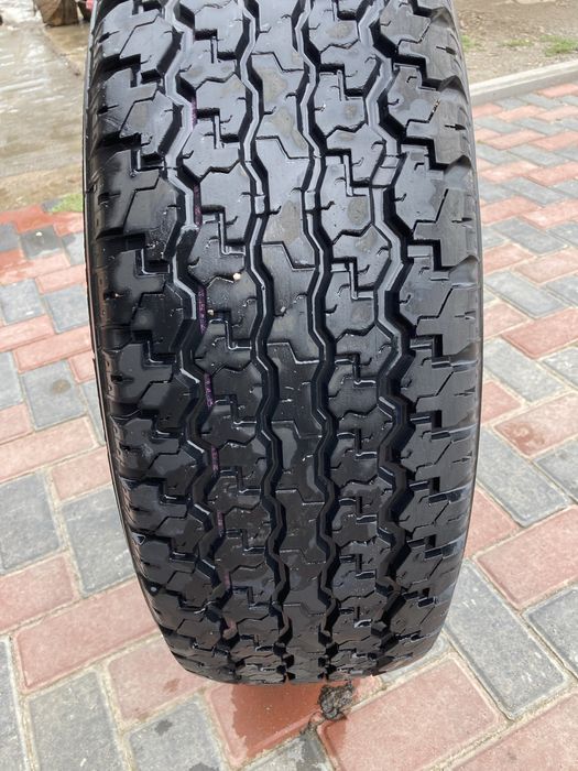 Шина на на вне дородник