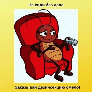 ДЕЗИНФЕКЦИЯ! от клопов и тараканов ! Гарантия 100%