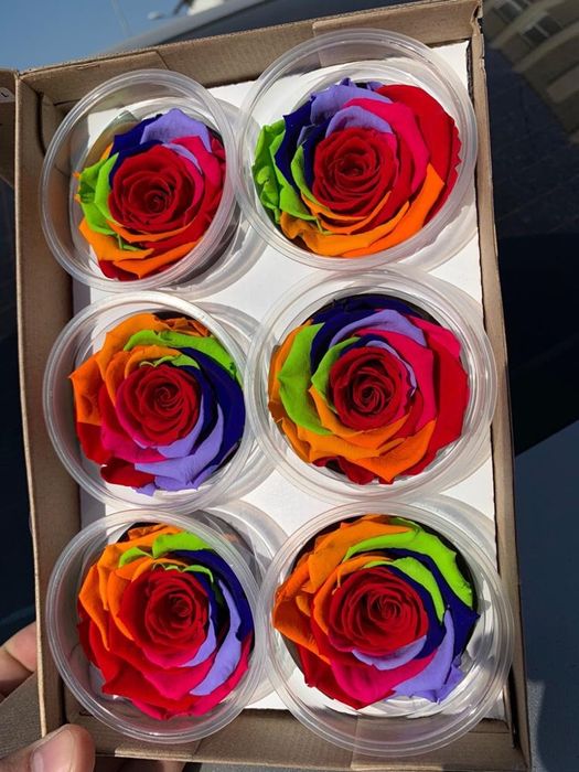 Trandafiri criogenati cadou ce rezista in timp