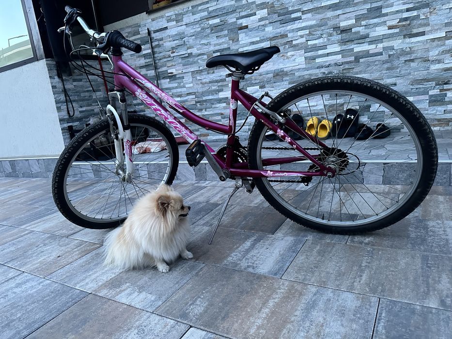Bicicletă damă / adolescentă – stare foarte bună