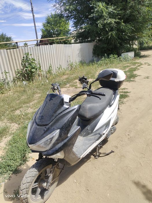 Макси 2024 годин