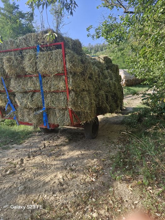 Vând baloti de fan 2025