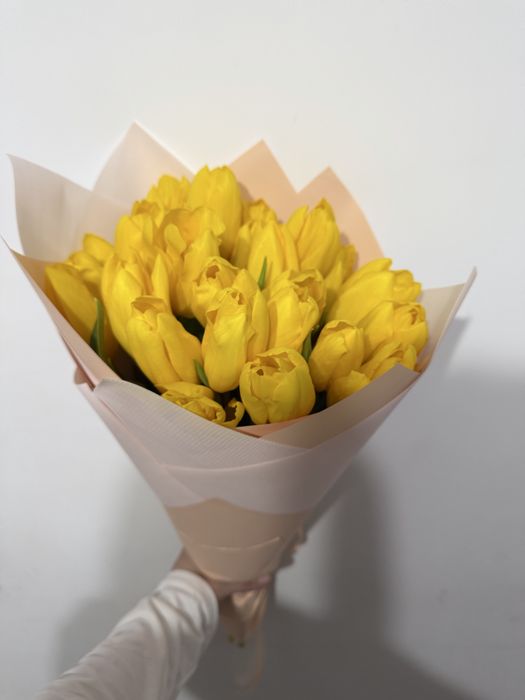 тюльпаны по 750 тг