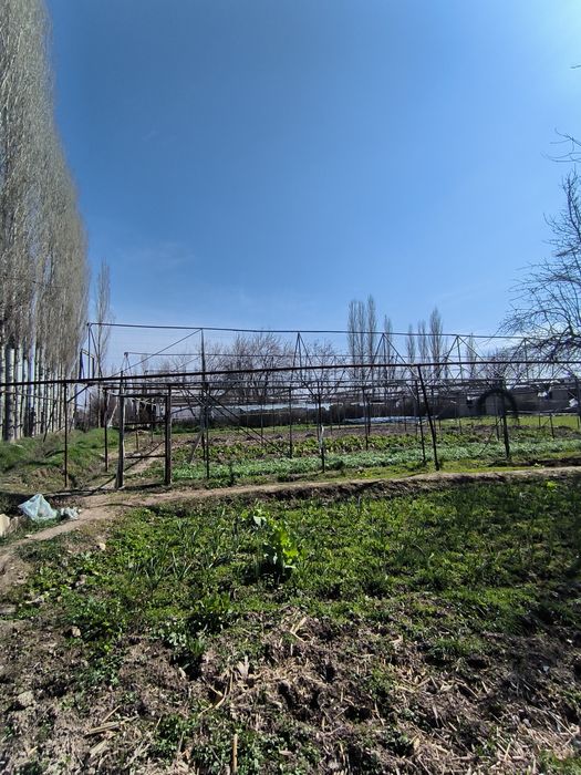 Teplitsa 6 sotx sotiladi