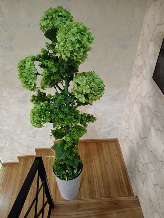 Цветы. Суний гуллар. Искусственные цветы