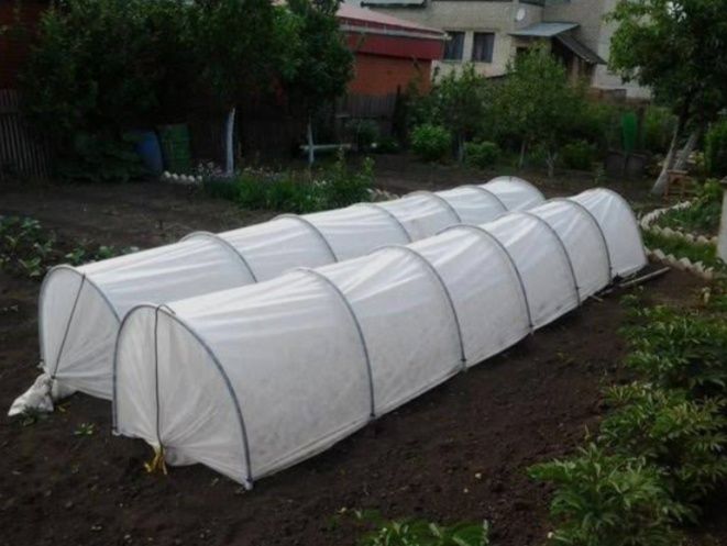 Монтаж ,установка и ремонт  теплиц