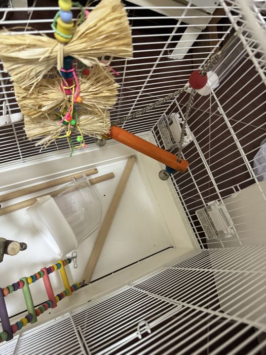 Рещетка для птиц