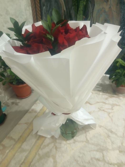 Свежые розы красный