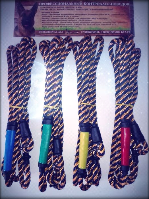 Поводок ошейник Контроллер