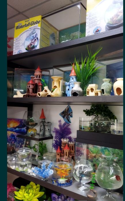 Рыбки в Афалине.АльФараби Навои