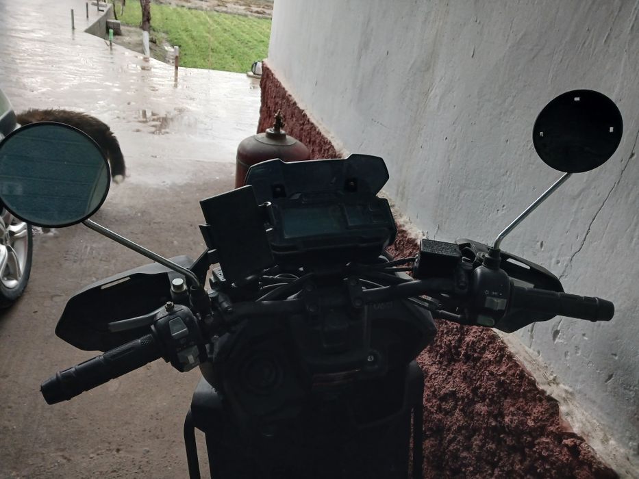 Сукутир сотилади