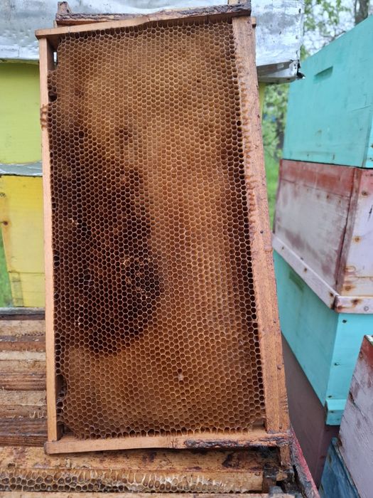 Caturi 3/4 cu rame construite (magazii)