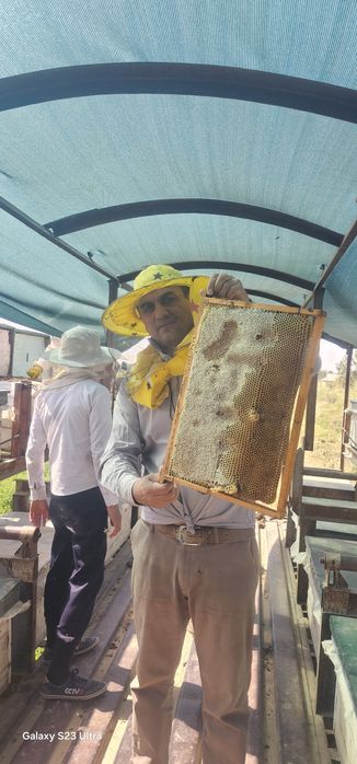 Toza tabiy asal tog' Paxta