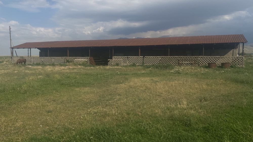 Срочно продается фазенда