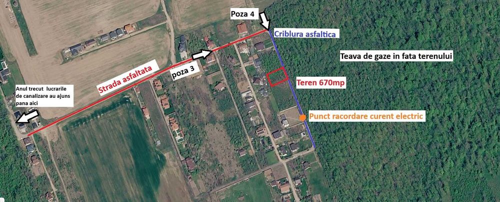 Teren 670 mp Ciofliceni ,padurea in fata terenului - Vedere 2