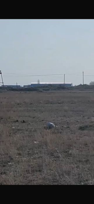 Продам земельный участок 8 га