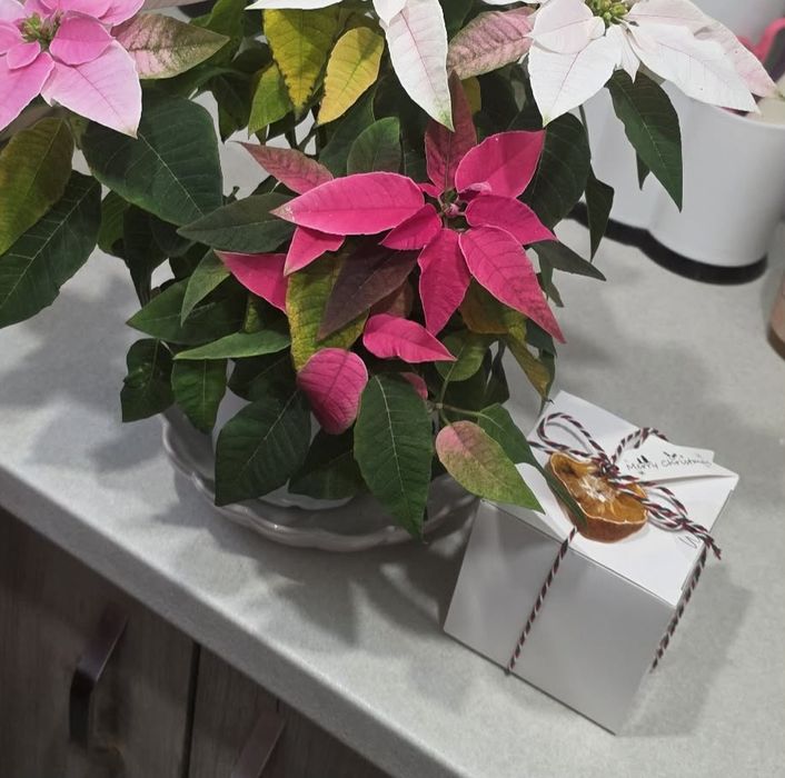 Коледна свещ "Снежинка"