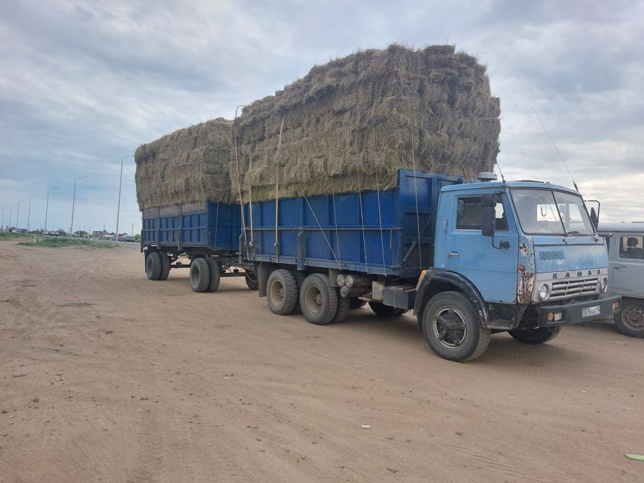 Продам сено в тюках и рулонах