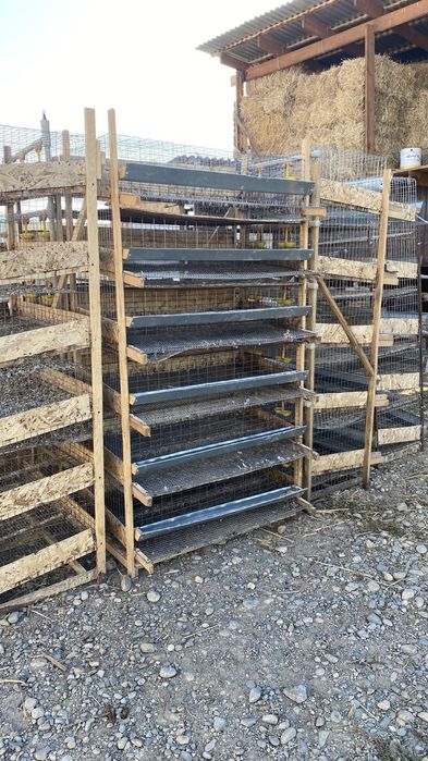 Клетка для перепрлов 10000